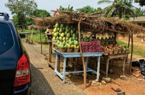 travelling by road in a car