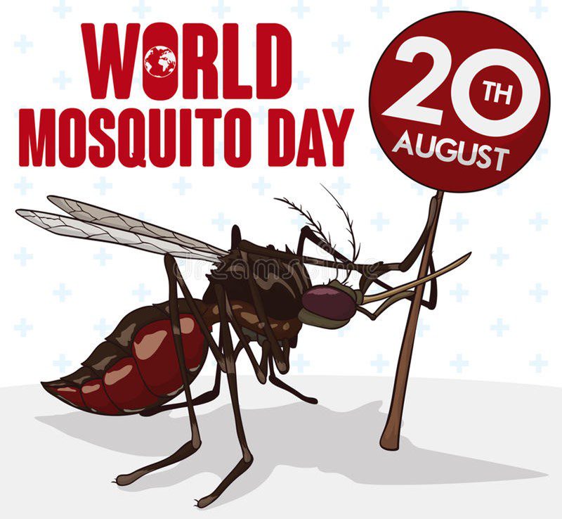 World Mosquito Day! First Bank of Nigeria